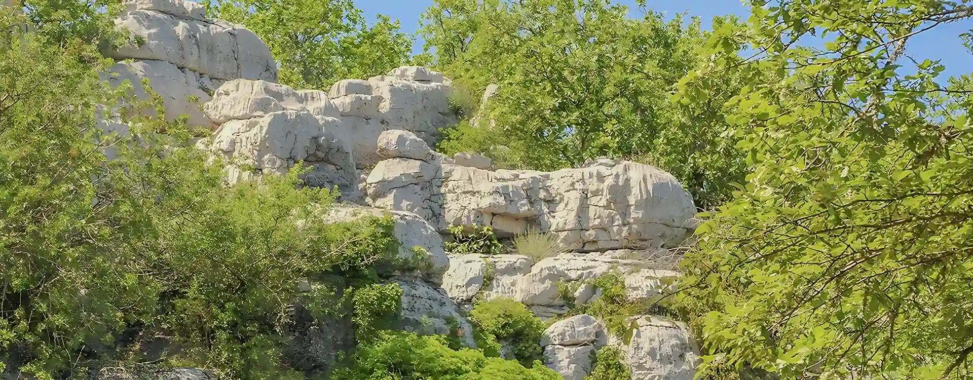 Le Bois de Païolive