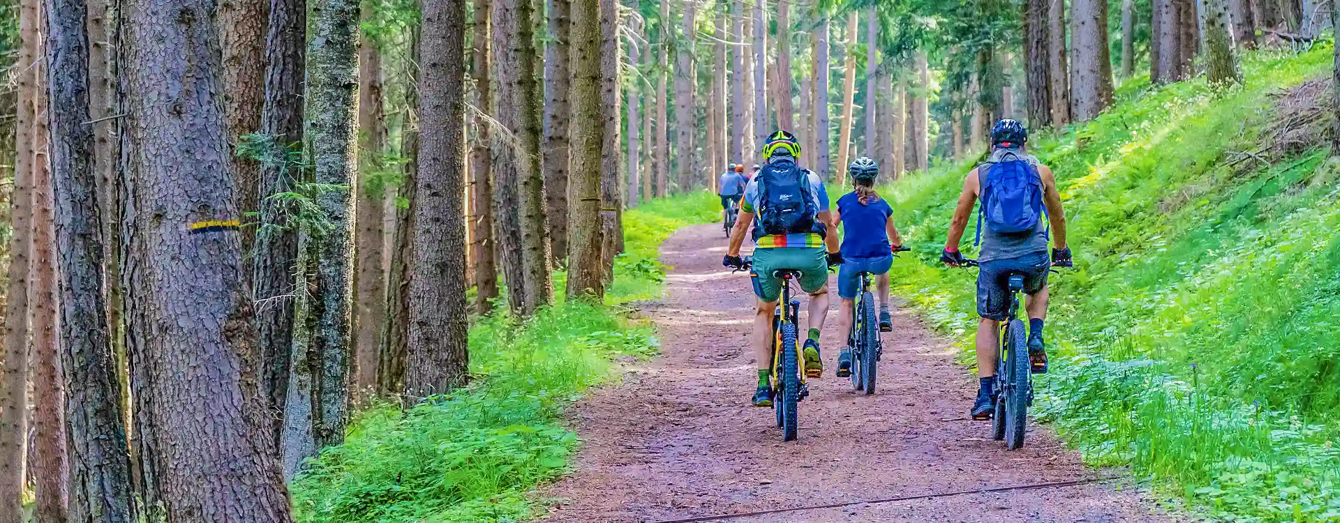 Les meilleurs circuits de VTT en Ardèche