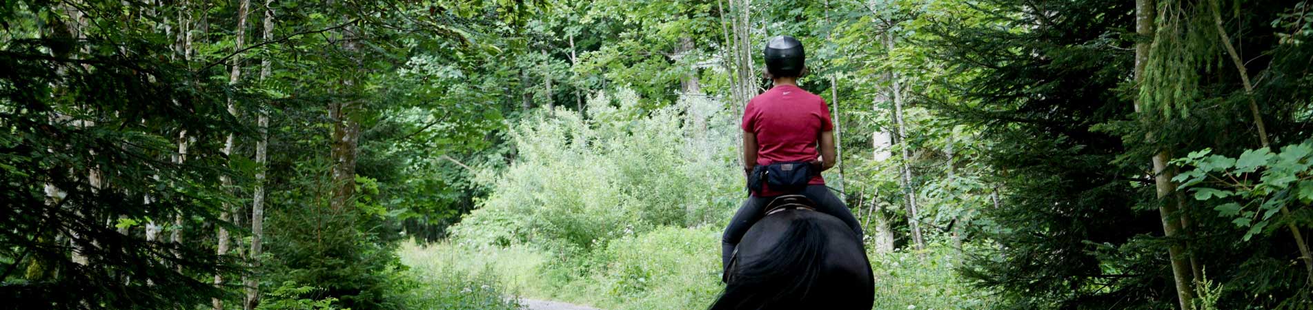 balade cheval ardeche